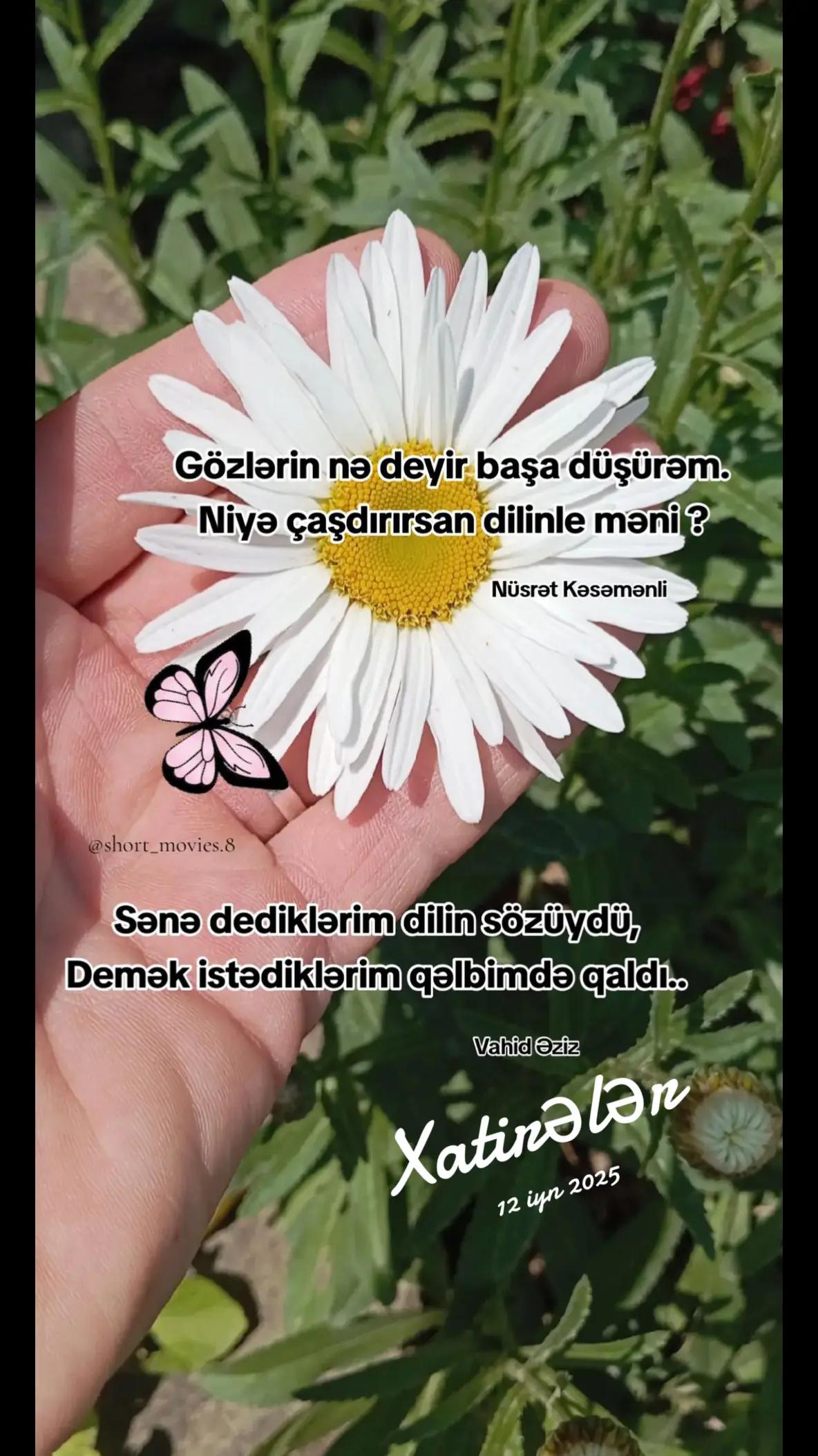 @SHORT_MOVİES🎥