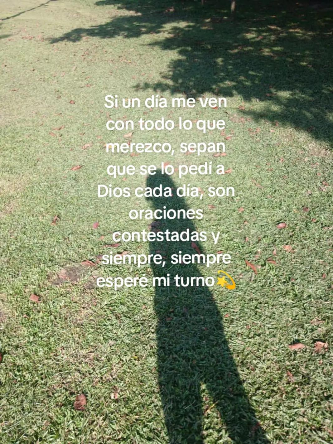 @Aimar✨☀️