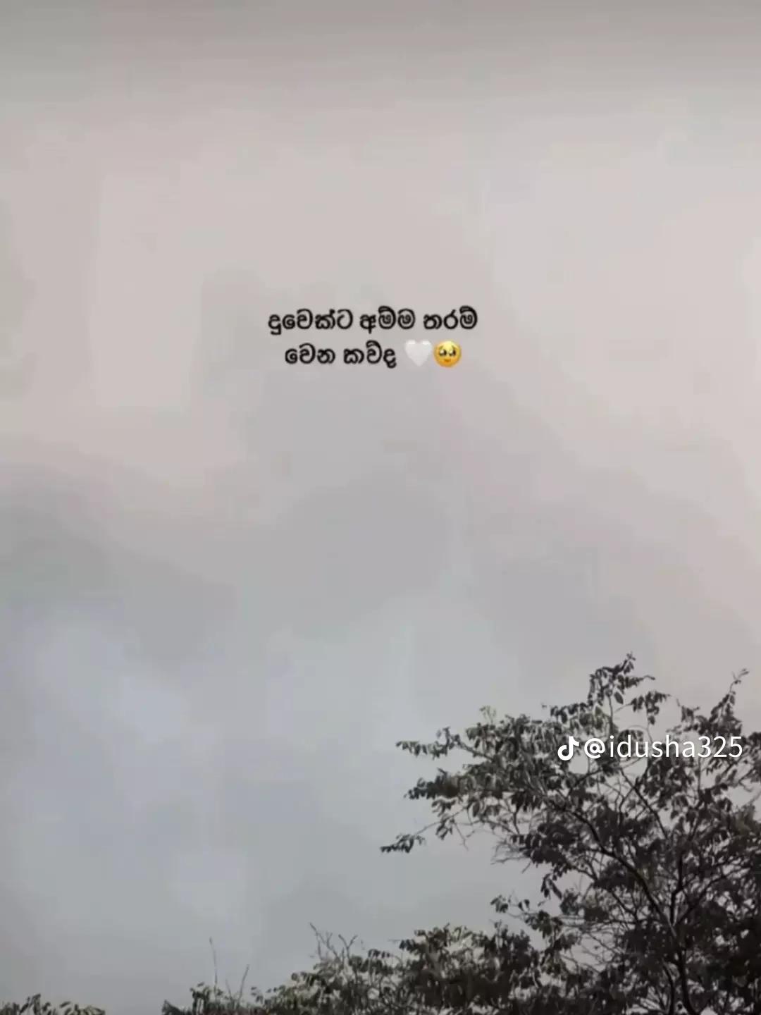 @Kumii_girl👻🐼