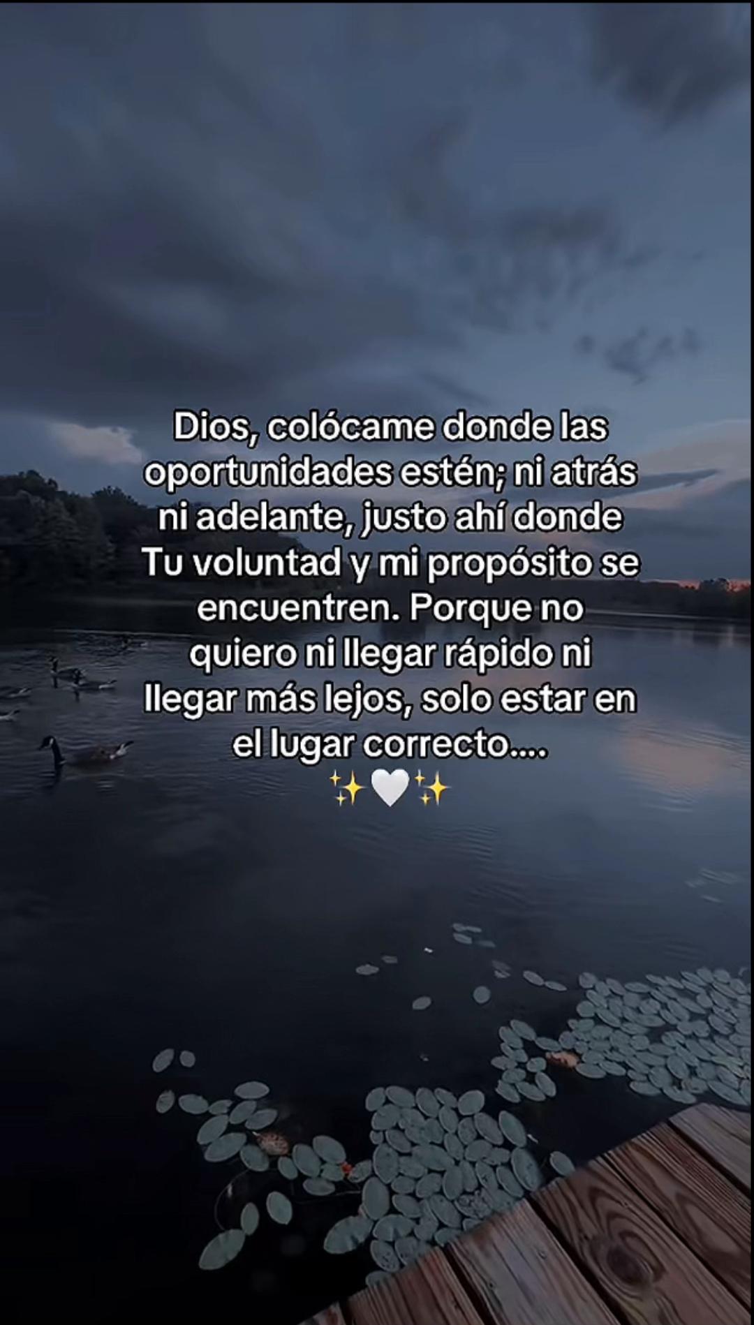 @ysbee.6