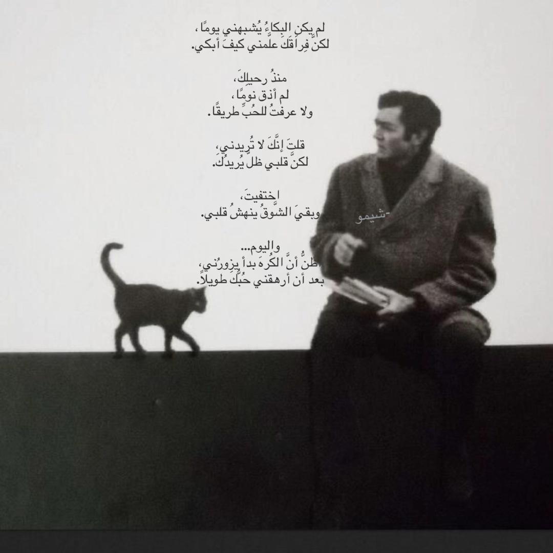 @شيمو الهاجري