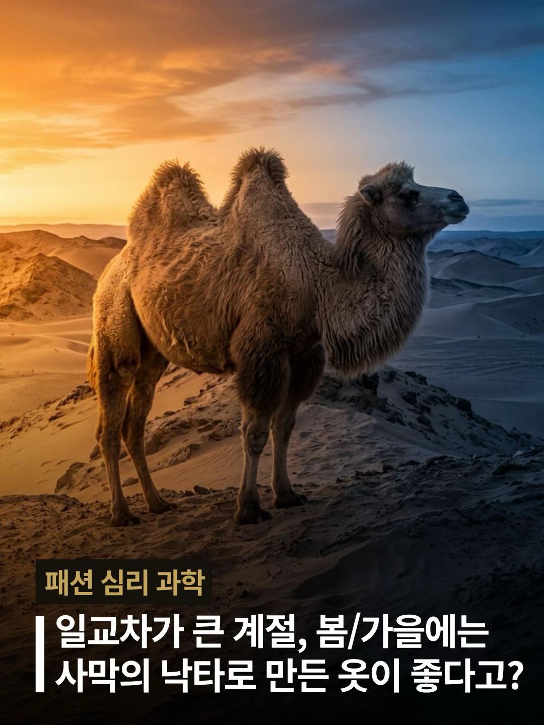 @바루사 빈티지샵 | 프레피 & 올드머니