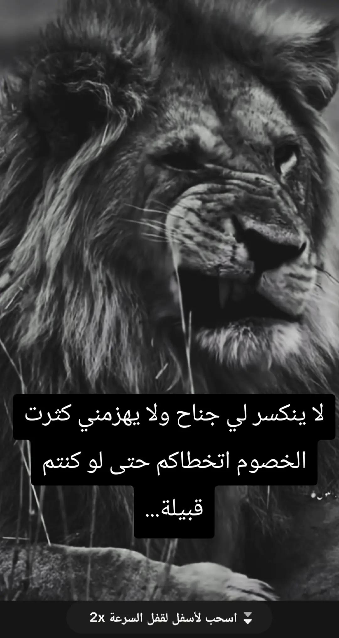 @🦁 scarface 🦁