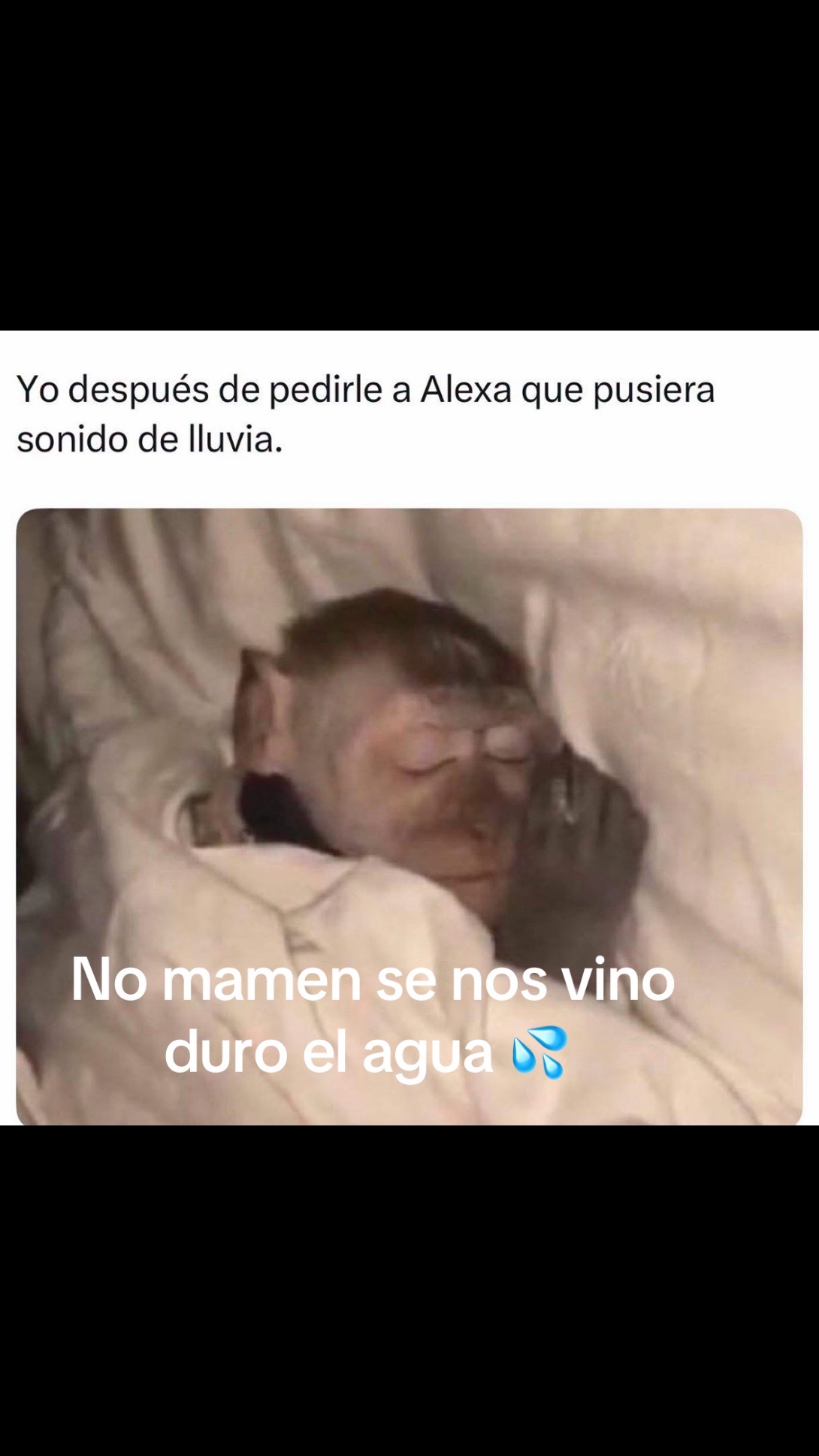 @Rivera Yazmin