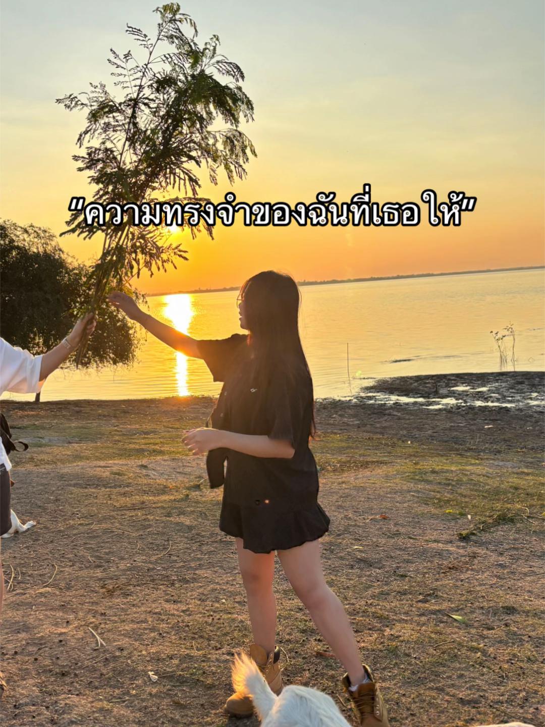 @ใบเฟิง