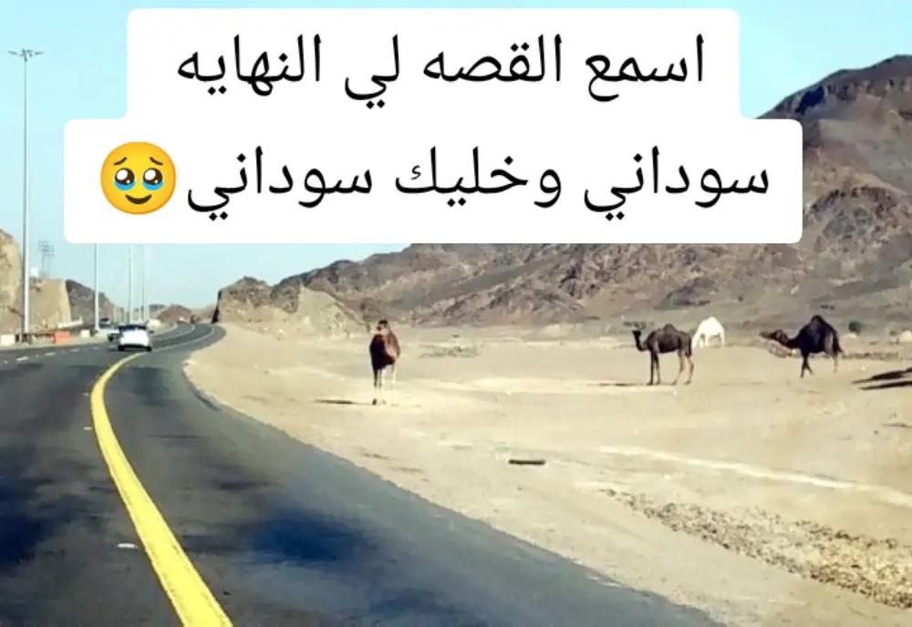 @زهجان 😓 وقافله معاي💔