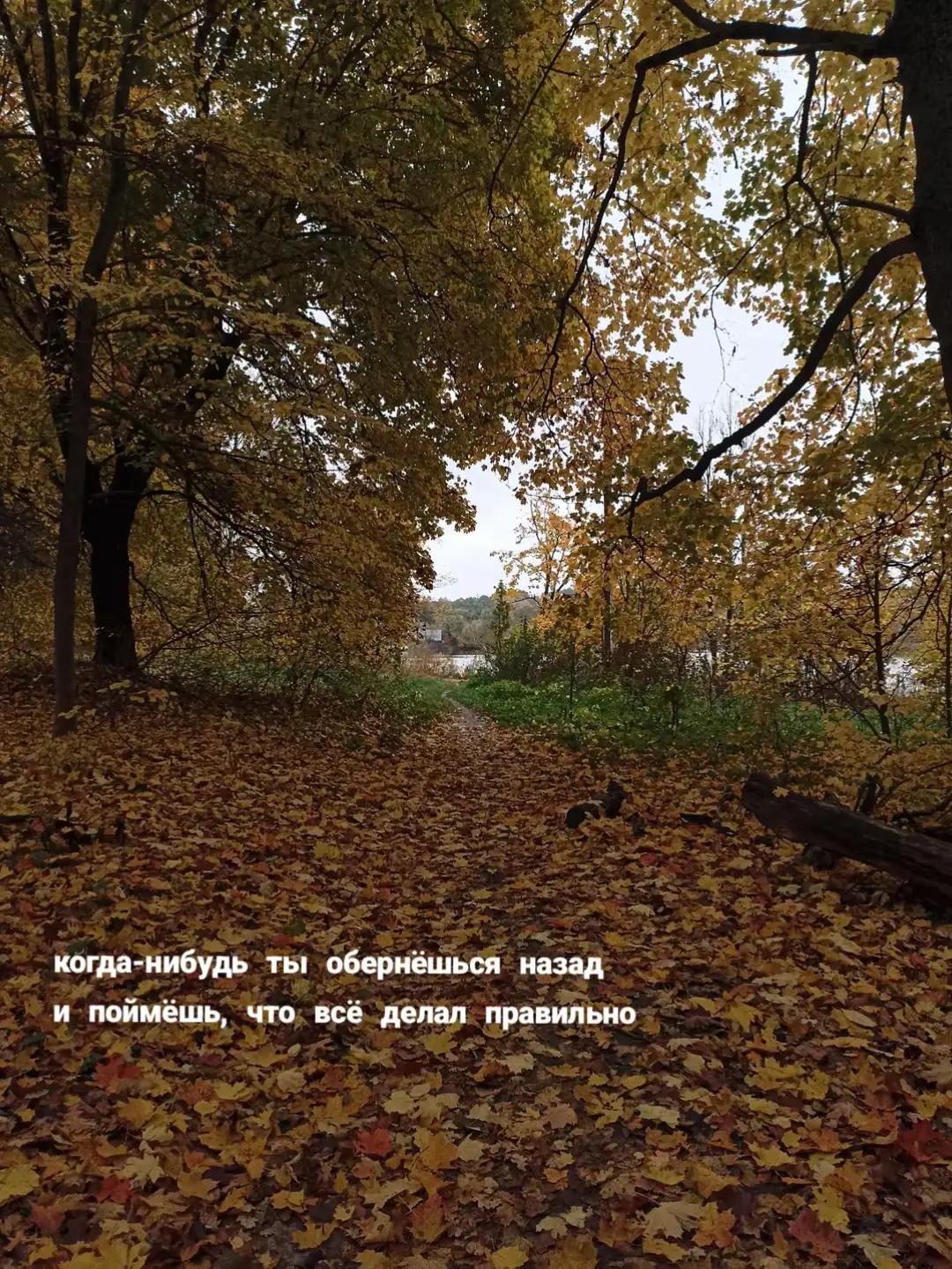 @Норвежская фея