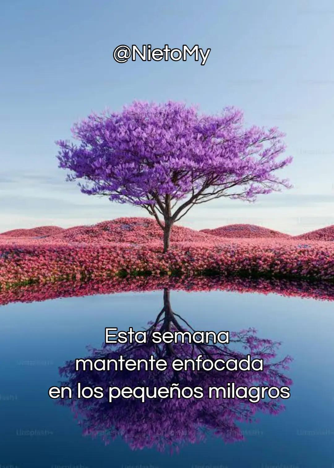 @Tejiendoredesdeconsciencia@Nie