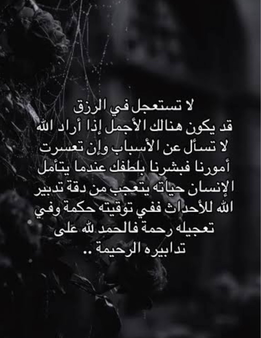 @dandoon♥️♥️♥️