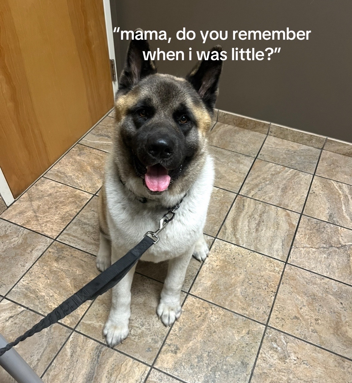 @g