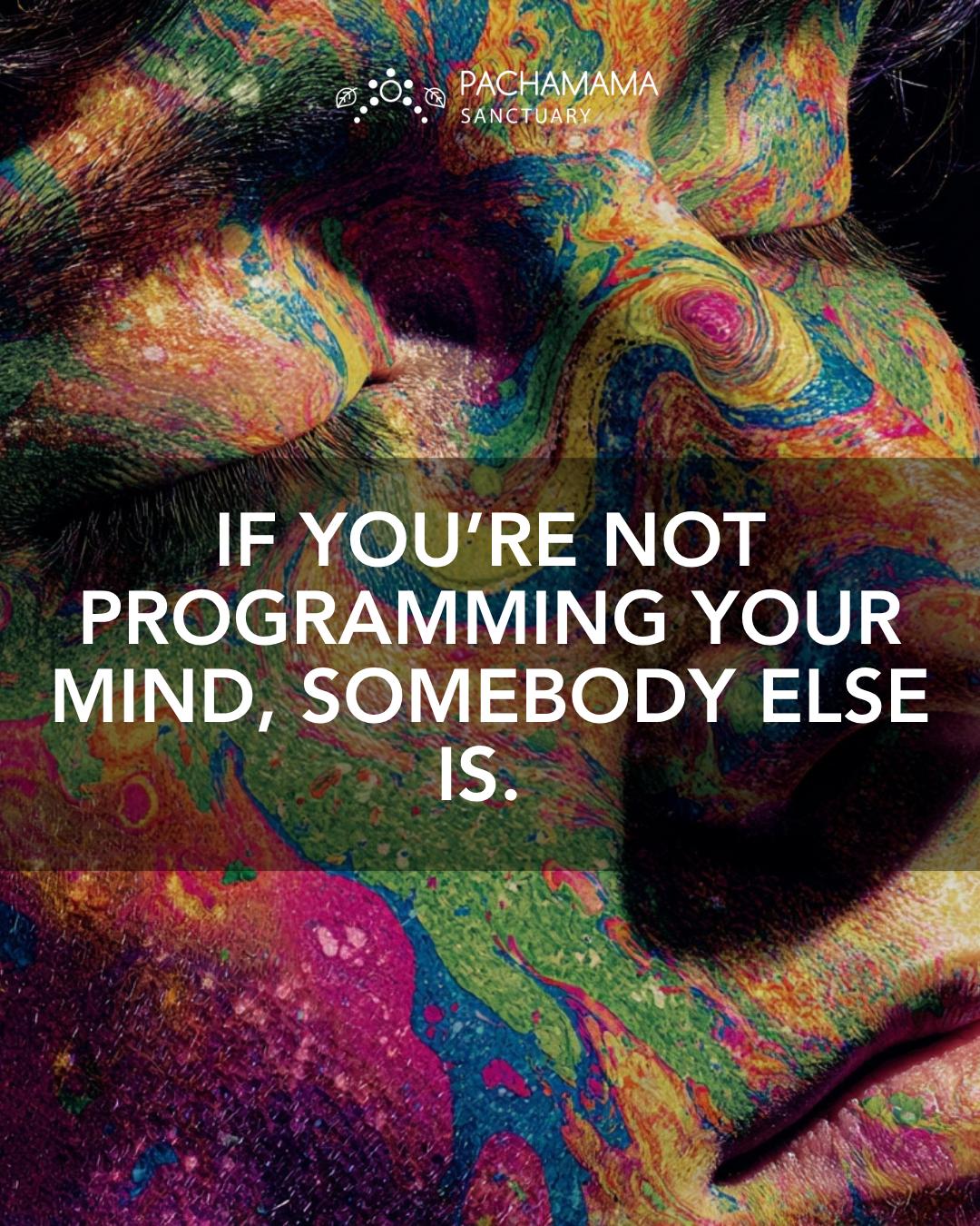 @Pachamama Ayahuasca Sanctuary