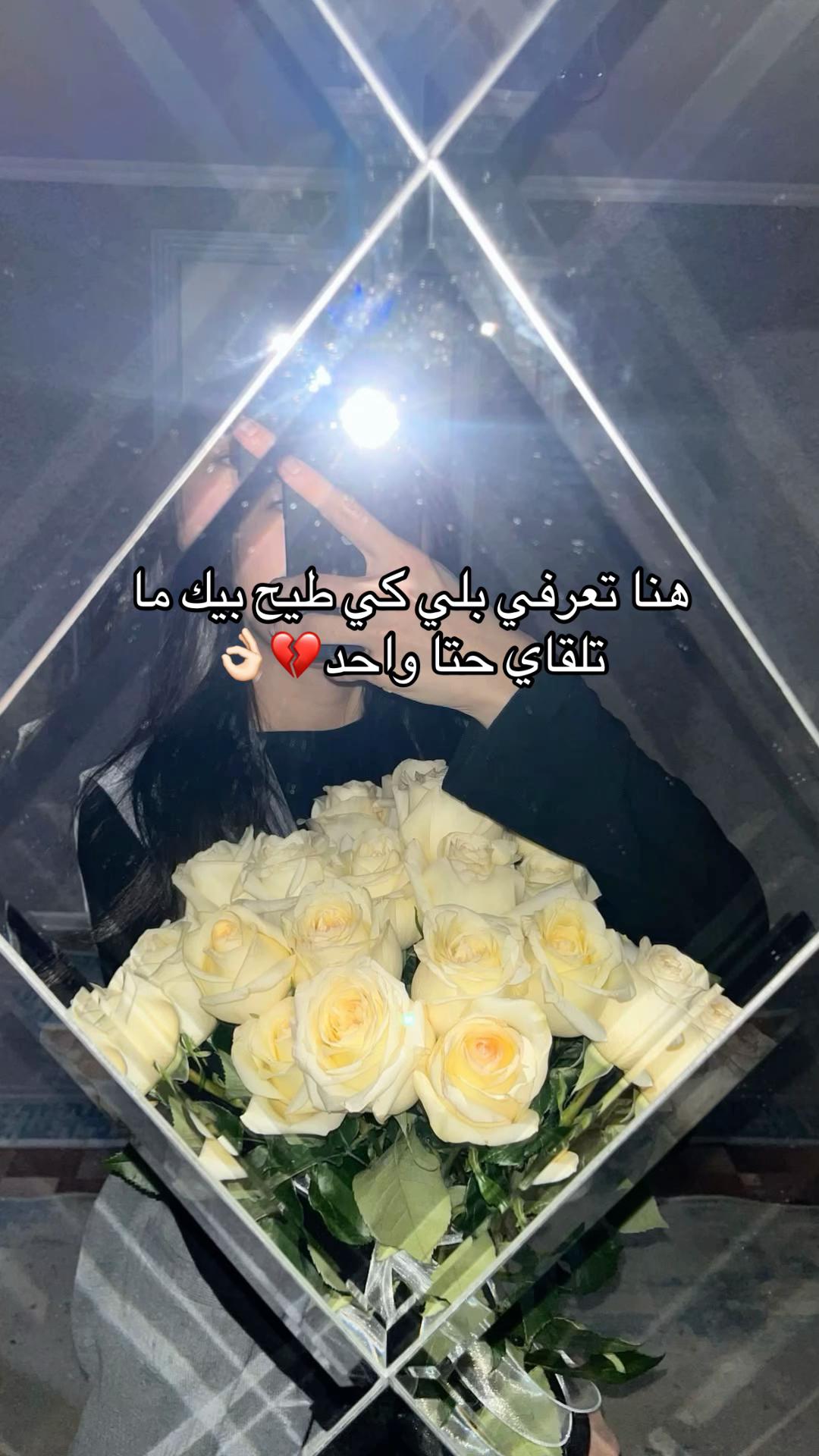 @𝐃.𝐧𝐢𝐬𝐞⭐️