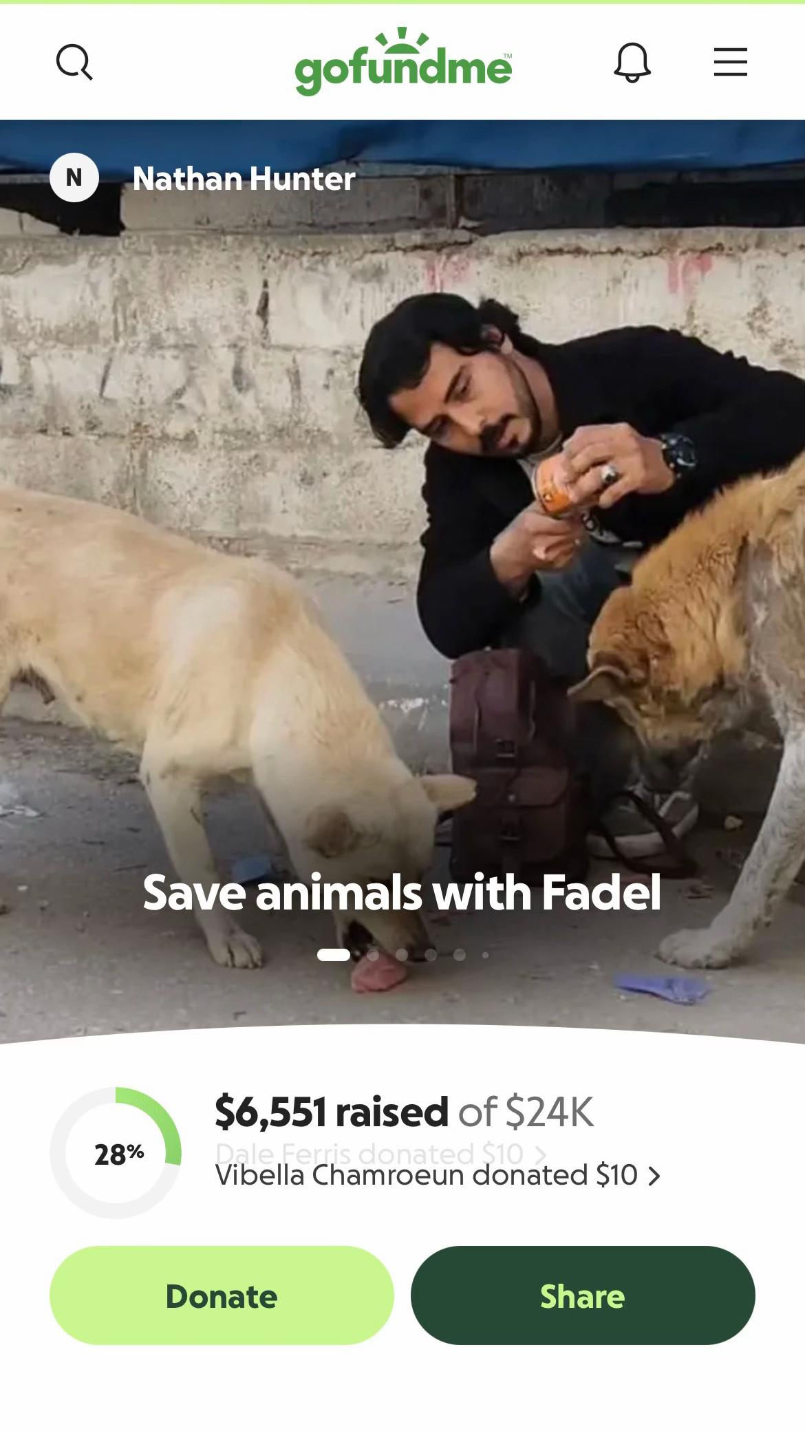 @Gaza Animal Rescue