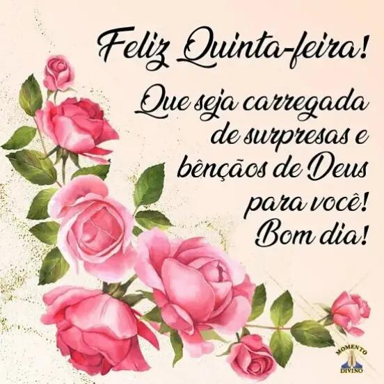 @José carlos