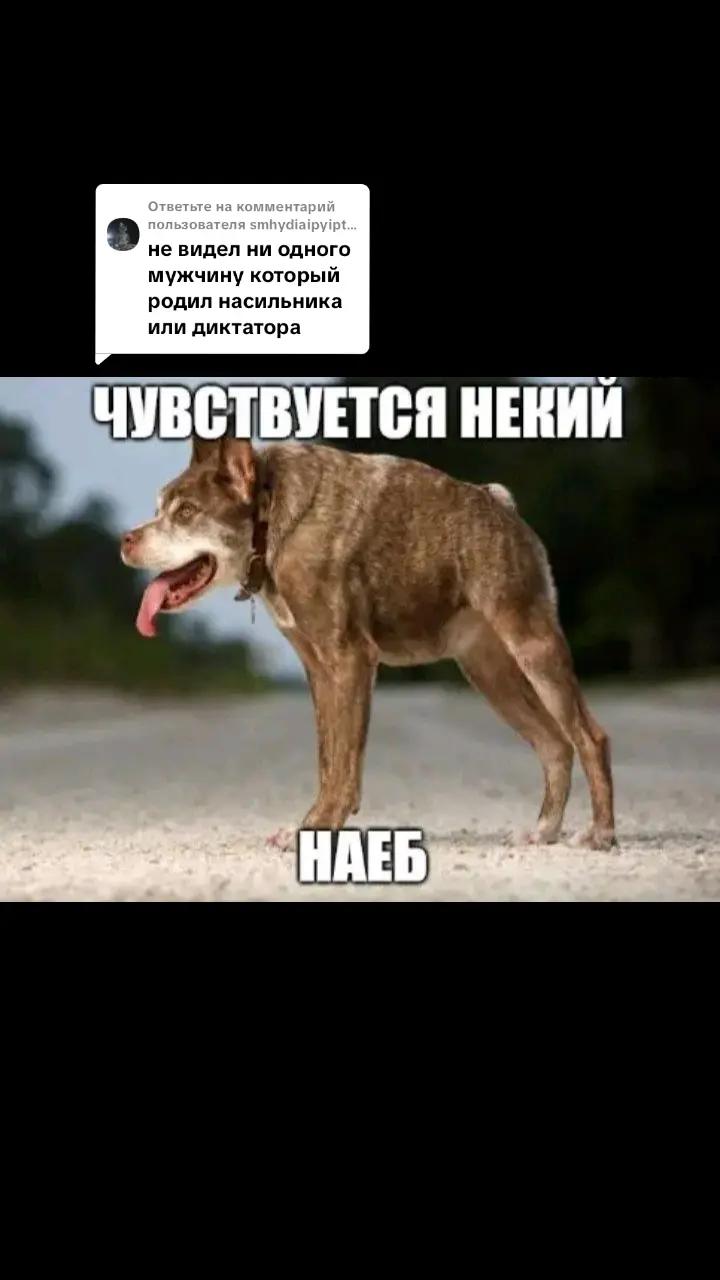 @майк