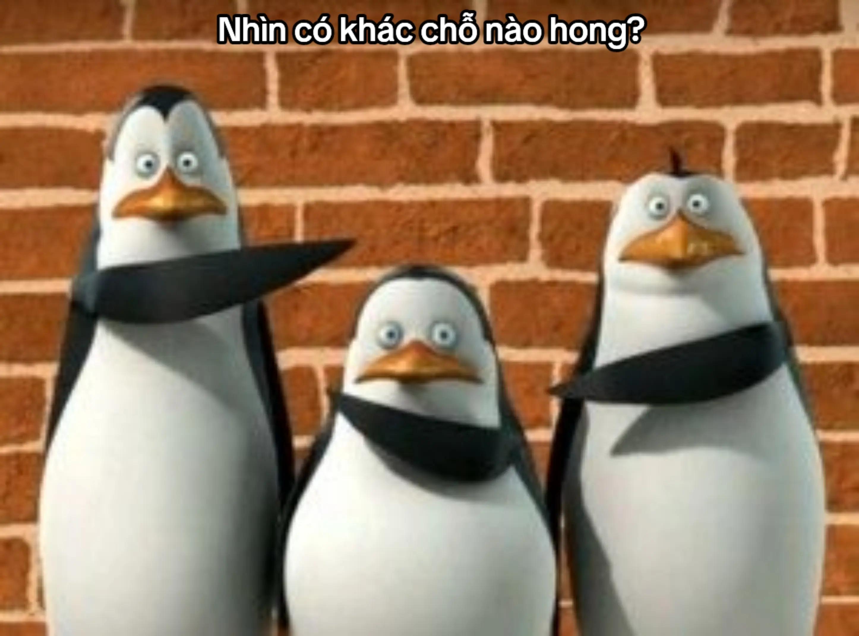 @khi cuộc đời cho bạn quả trứng