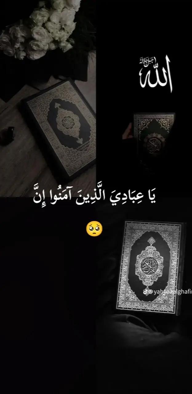 @Uѕαмα MσηєуMιη∂ 💸👑