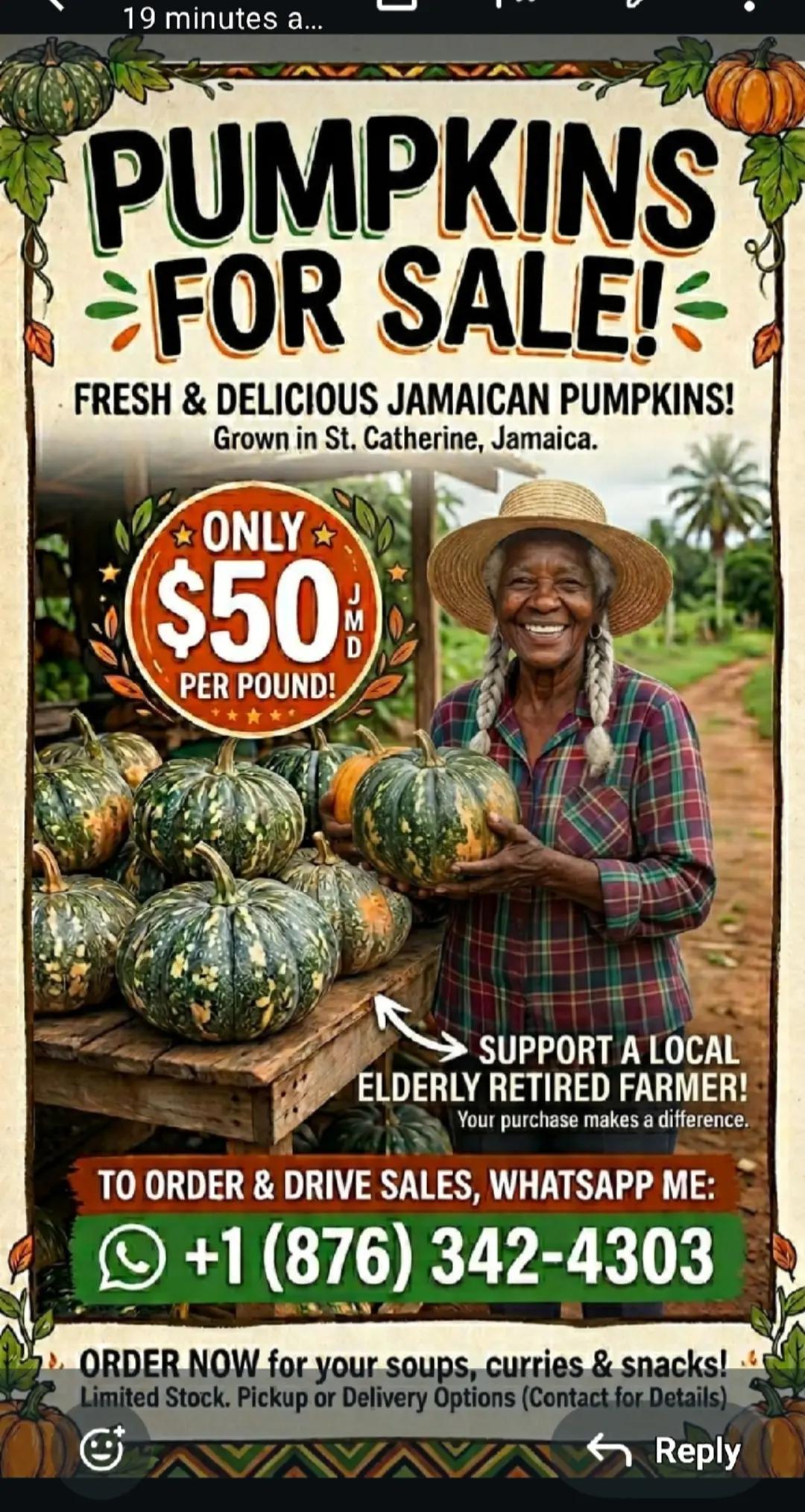 @Jamaican for Dummies