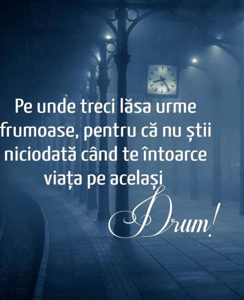 @Andreea Neacsu