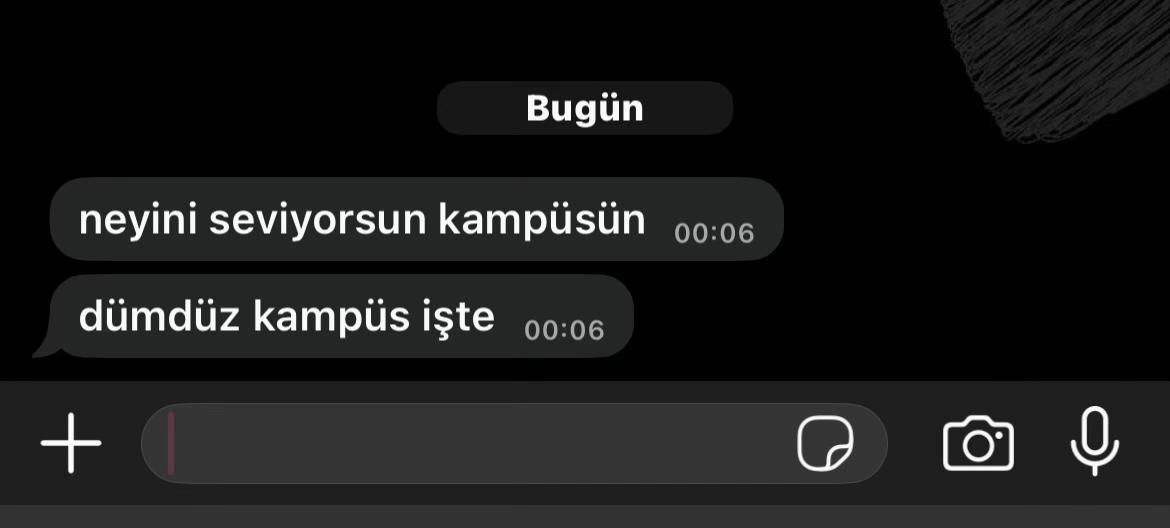 @merve