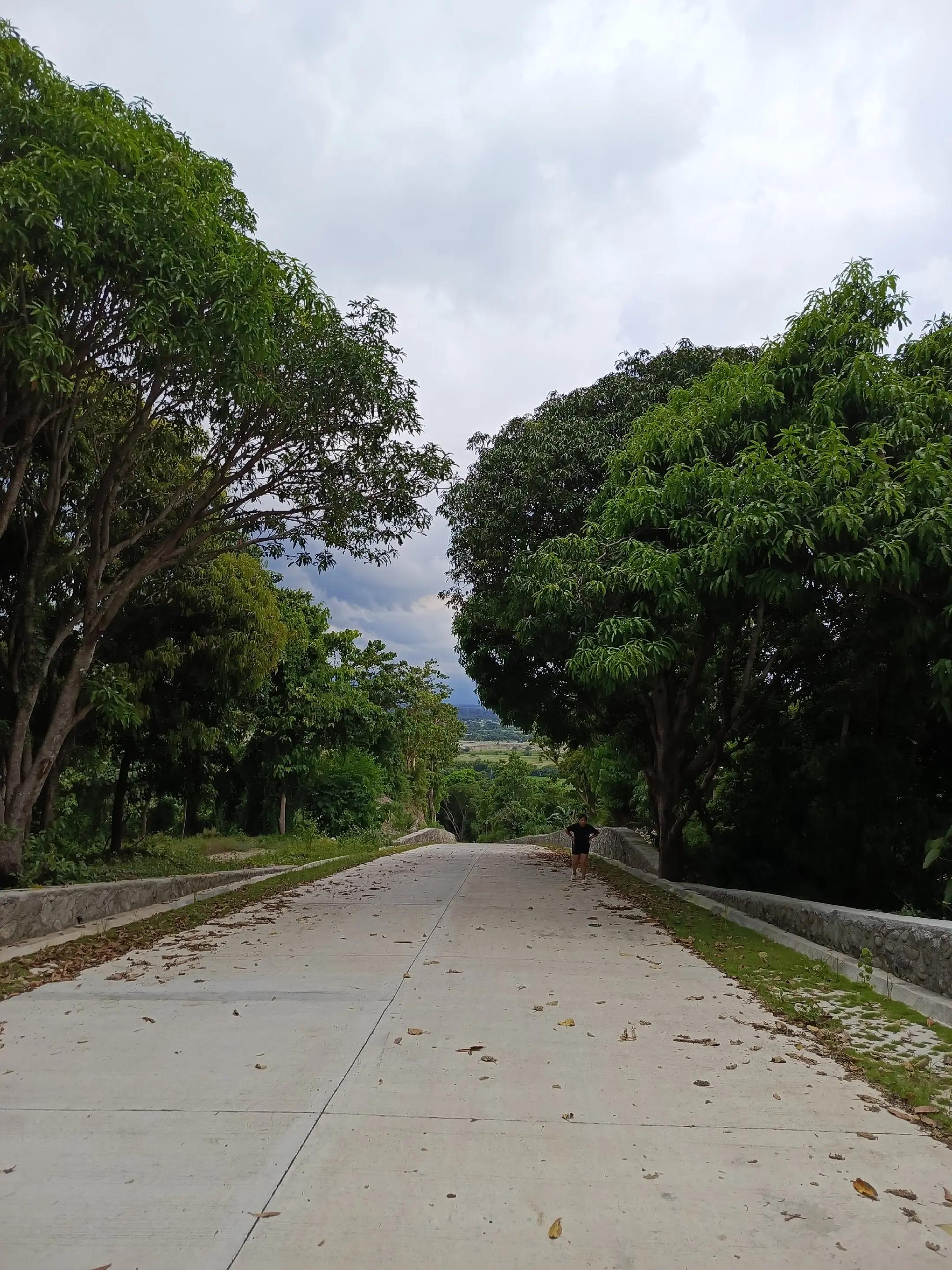 @D&oacute;n Ni&ntilde;&oacute;