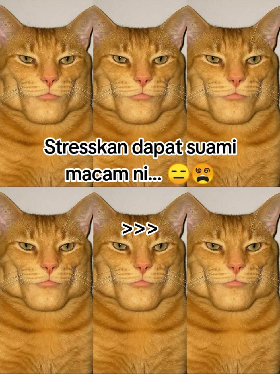 @HykalSazer01