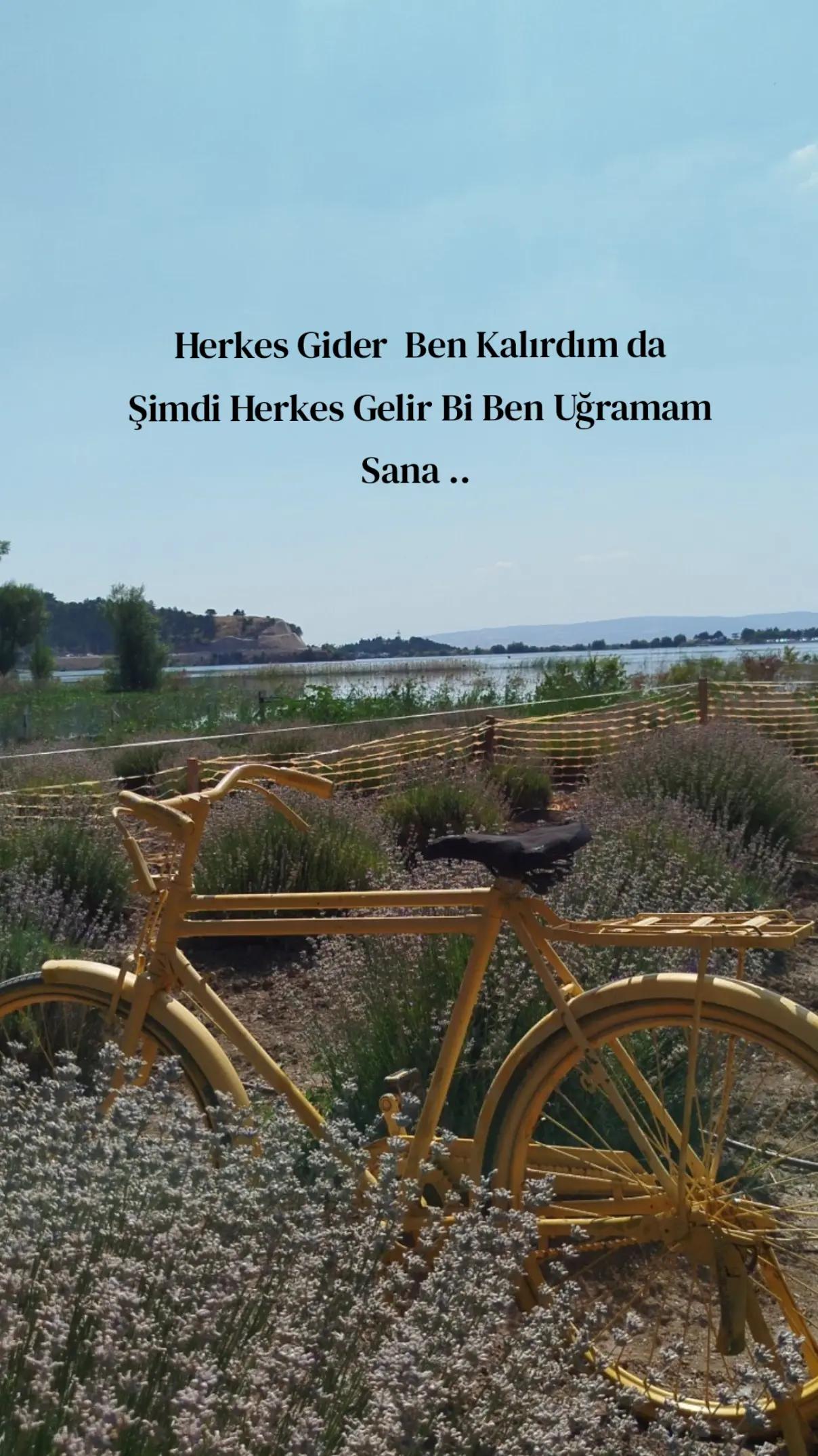 @Türkan kaya