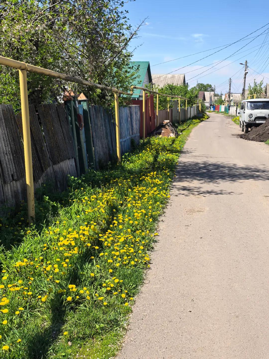 @ТГК: саншаймич вещает
