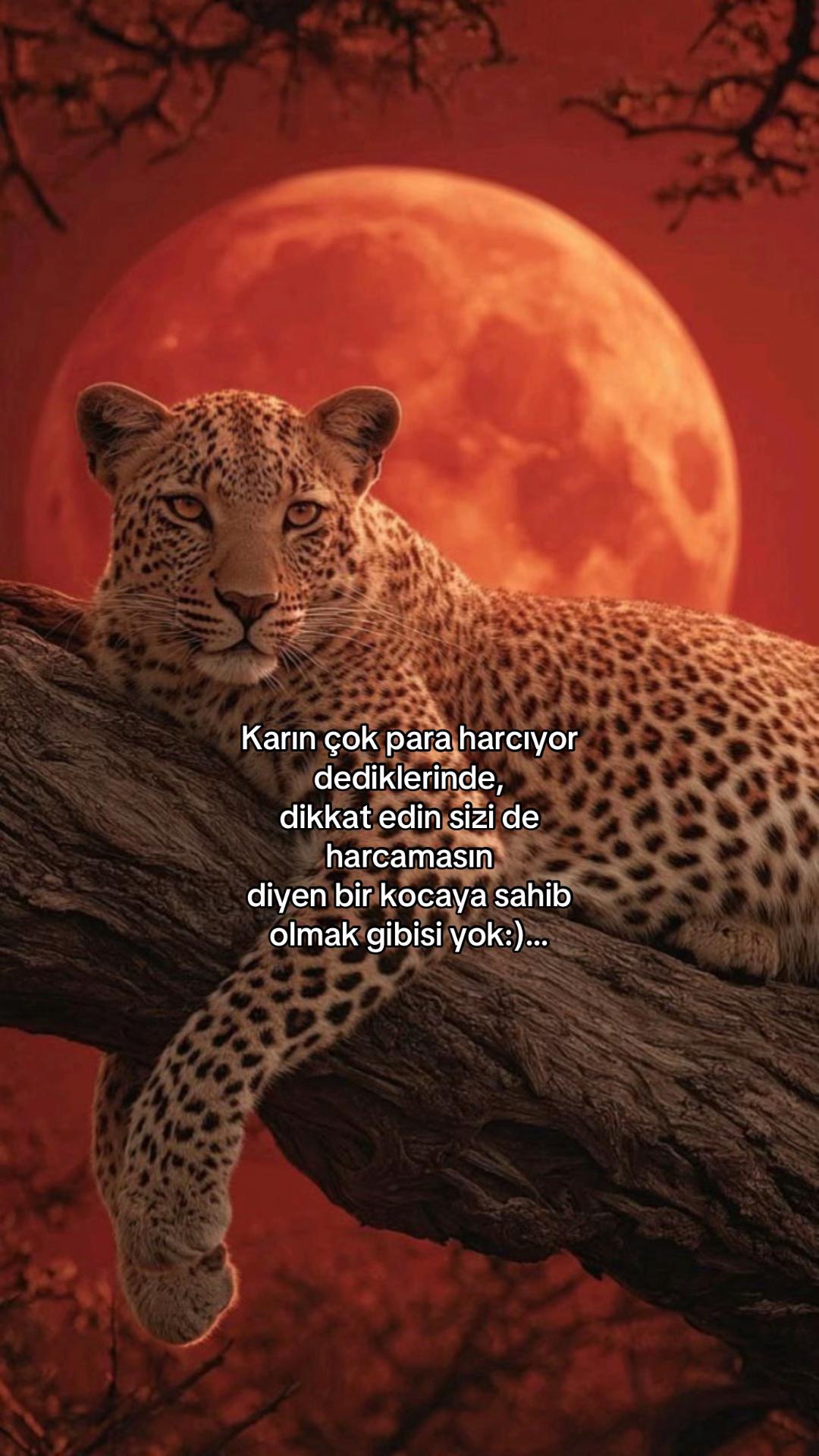 @Atarlı Kadın