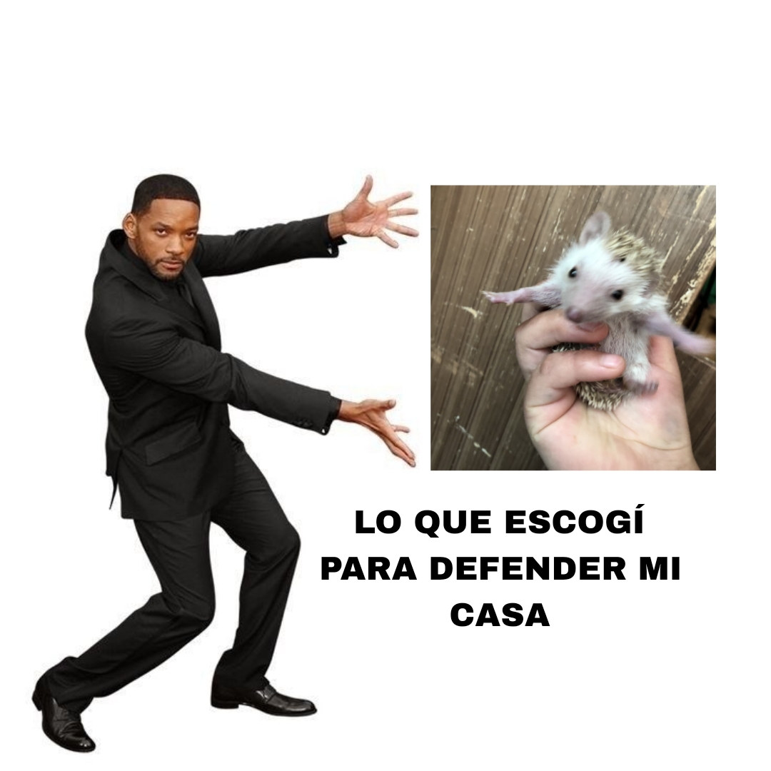 @Theo