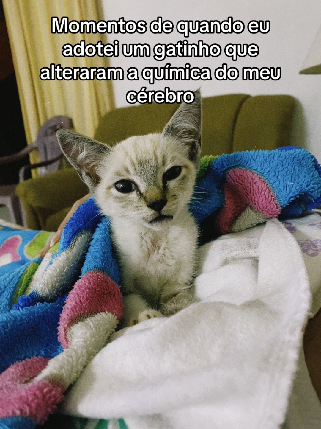 @Lua