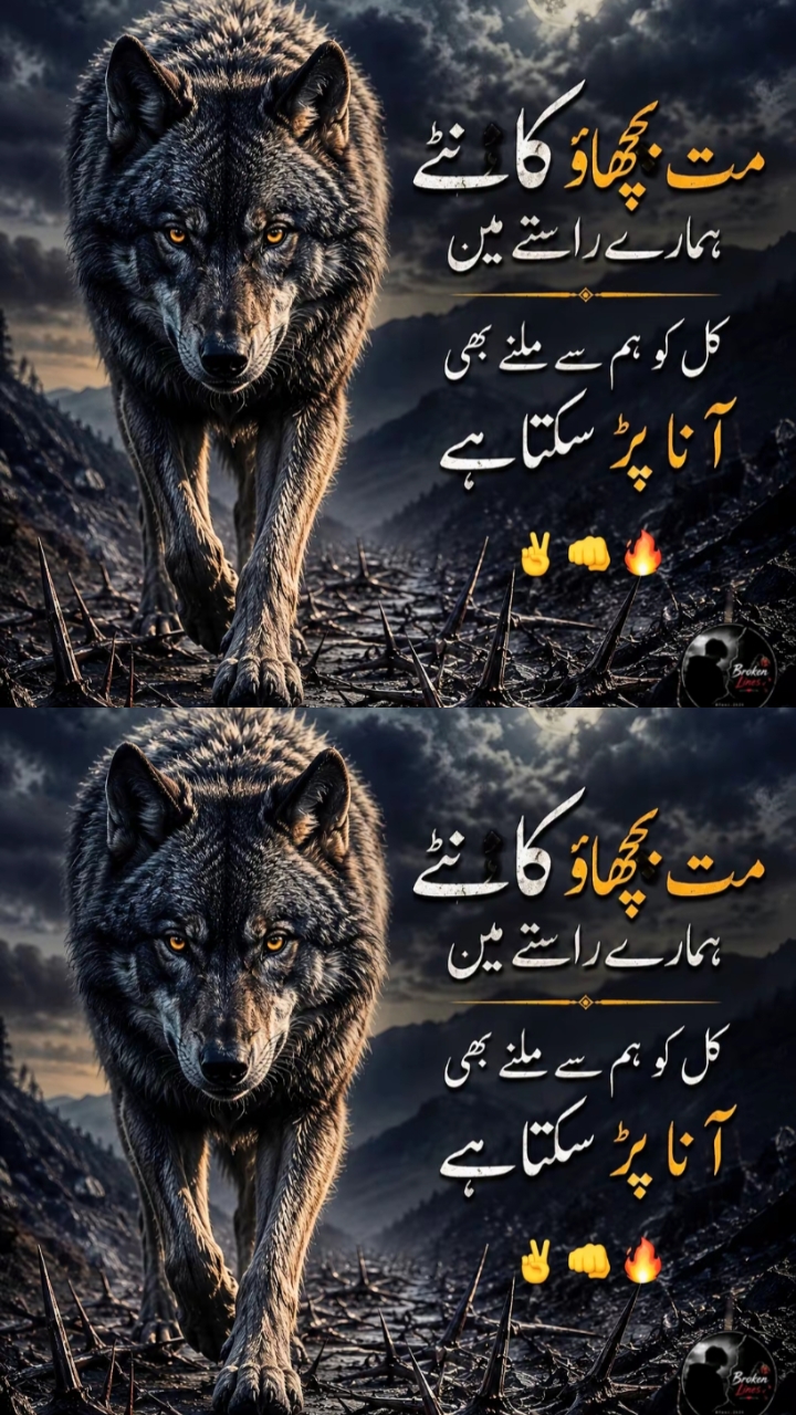@Dr.Zubair786