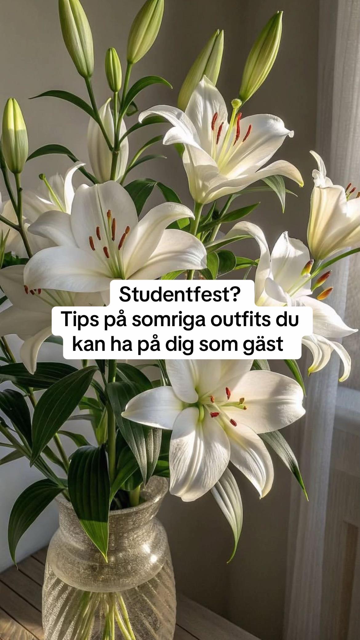 @Beauty Trender ✨