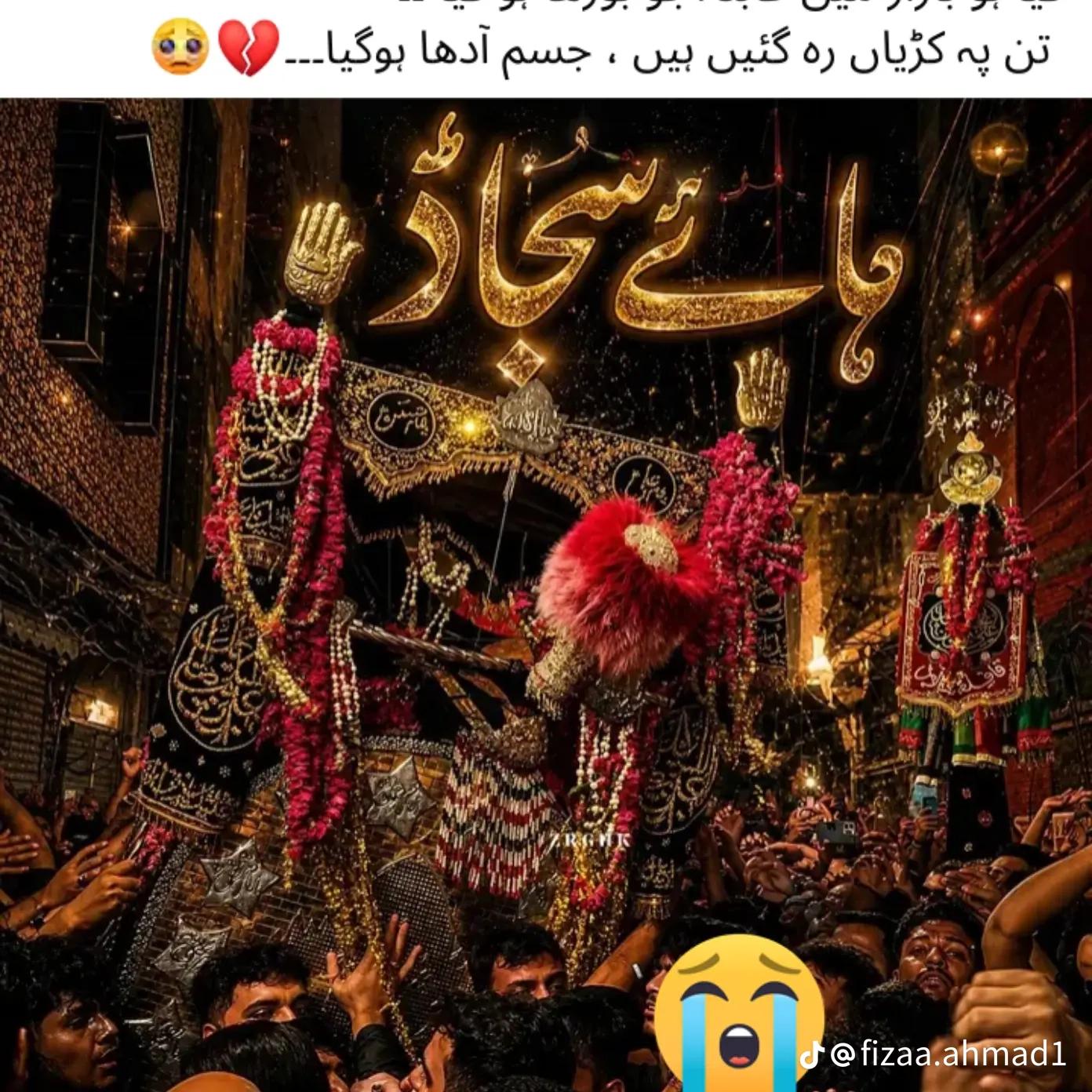 @Syed zada Hakam shamsi