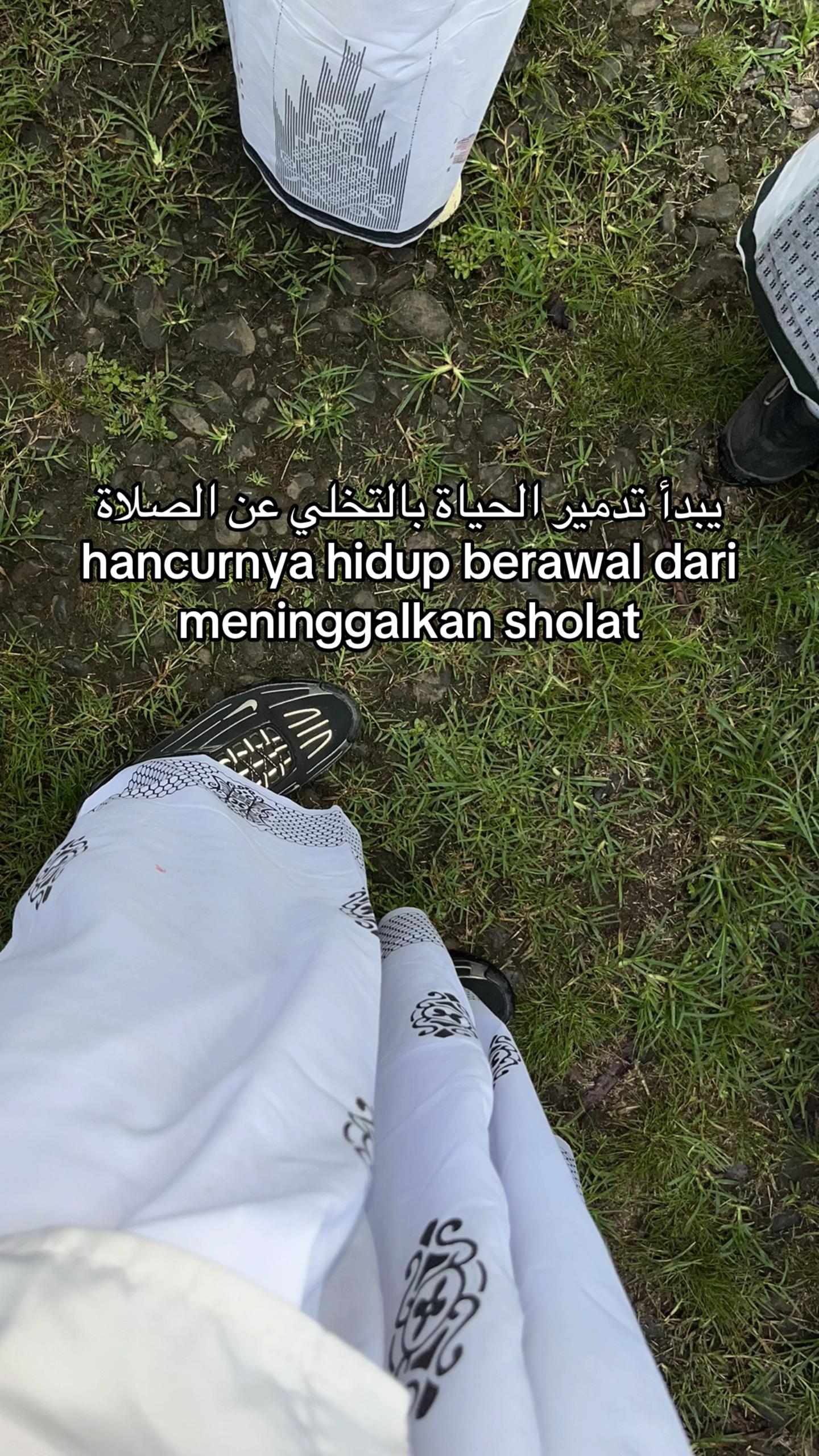 @zullkece79