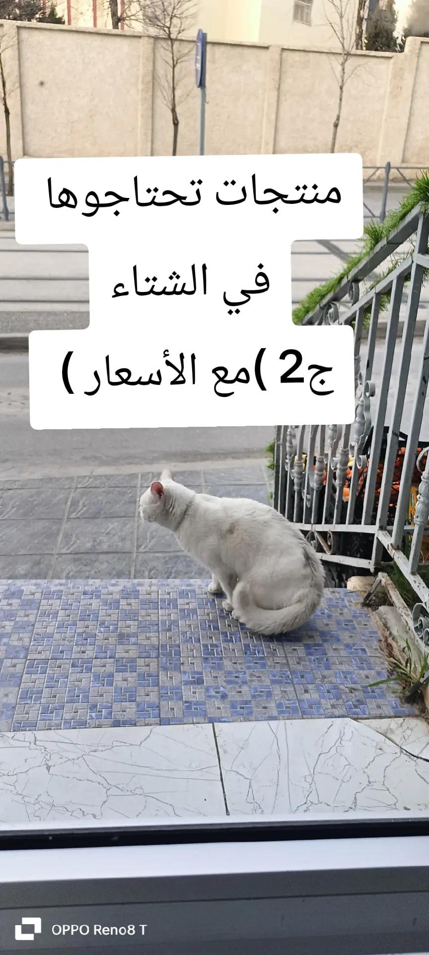 @Attamimi