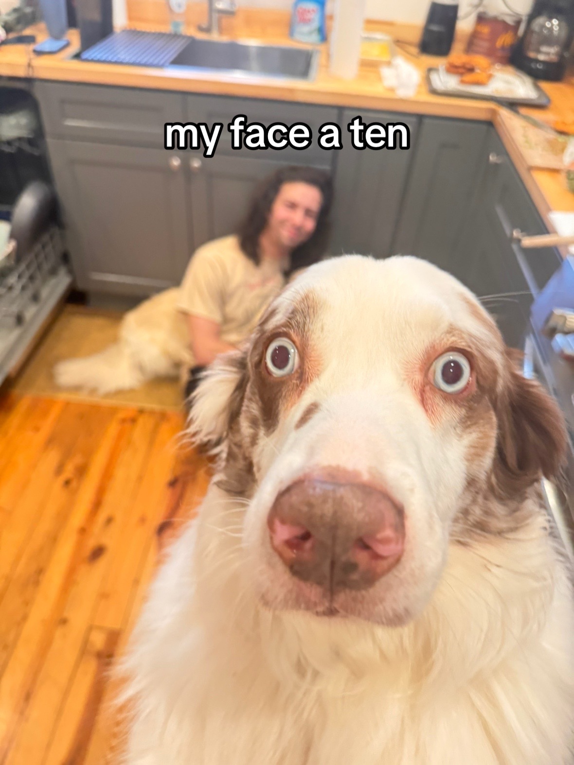 @maddiegudz