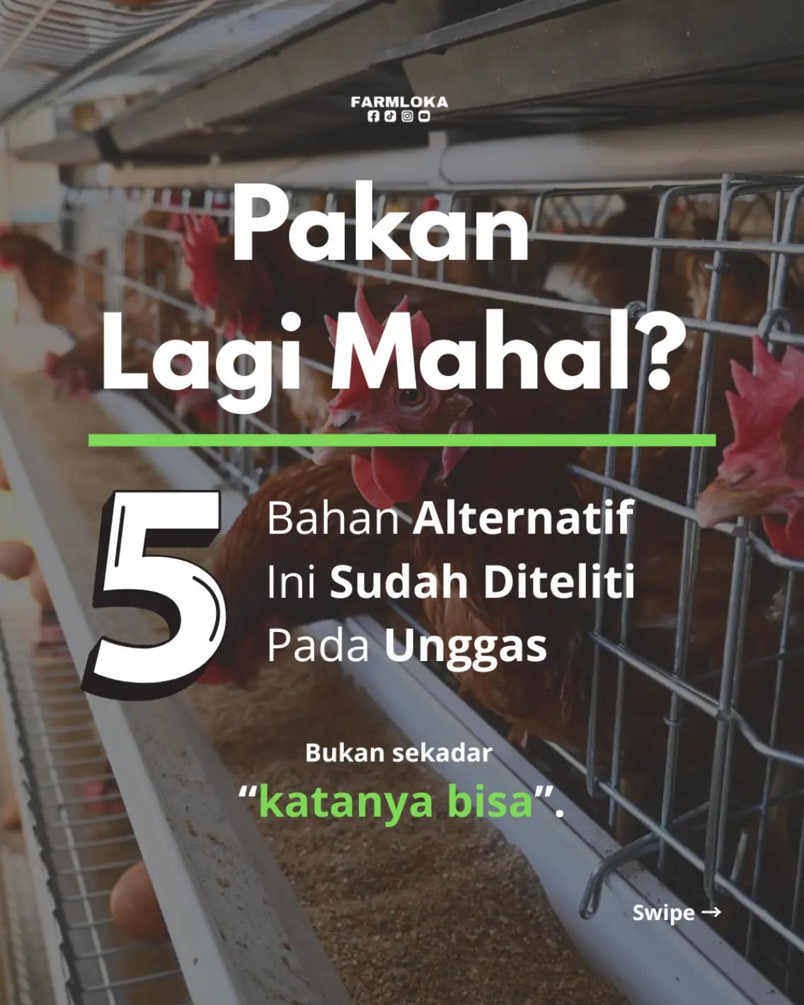 @Farmloka