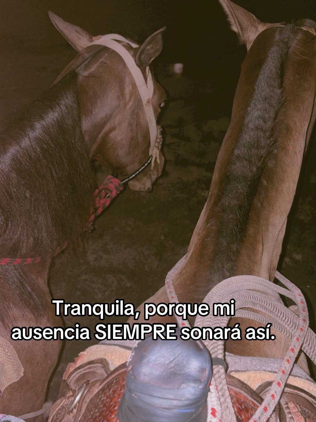 @Keyla Anaya🤍