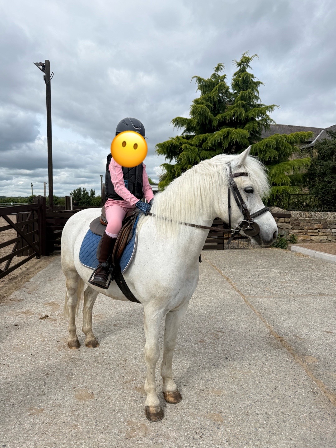 @LottiesHorseAdventures🦄🐴