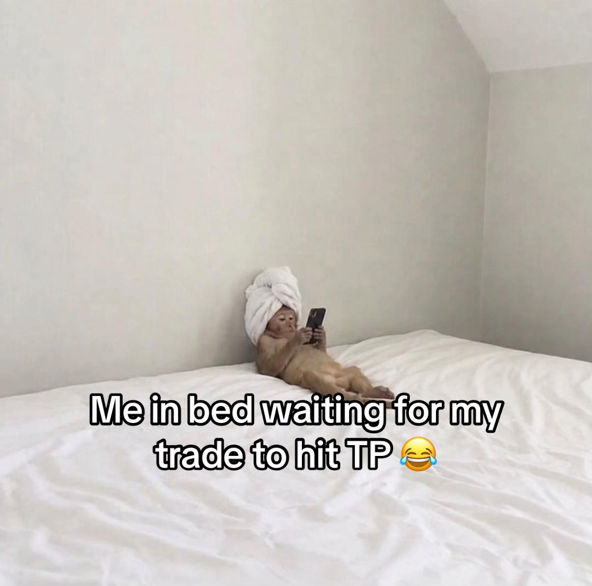@fx.zouzoui