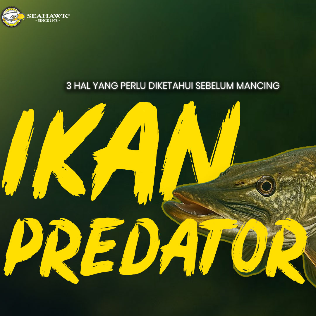 @Teamseahawkindonesia