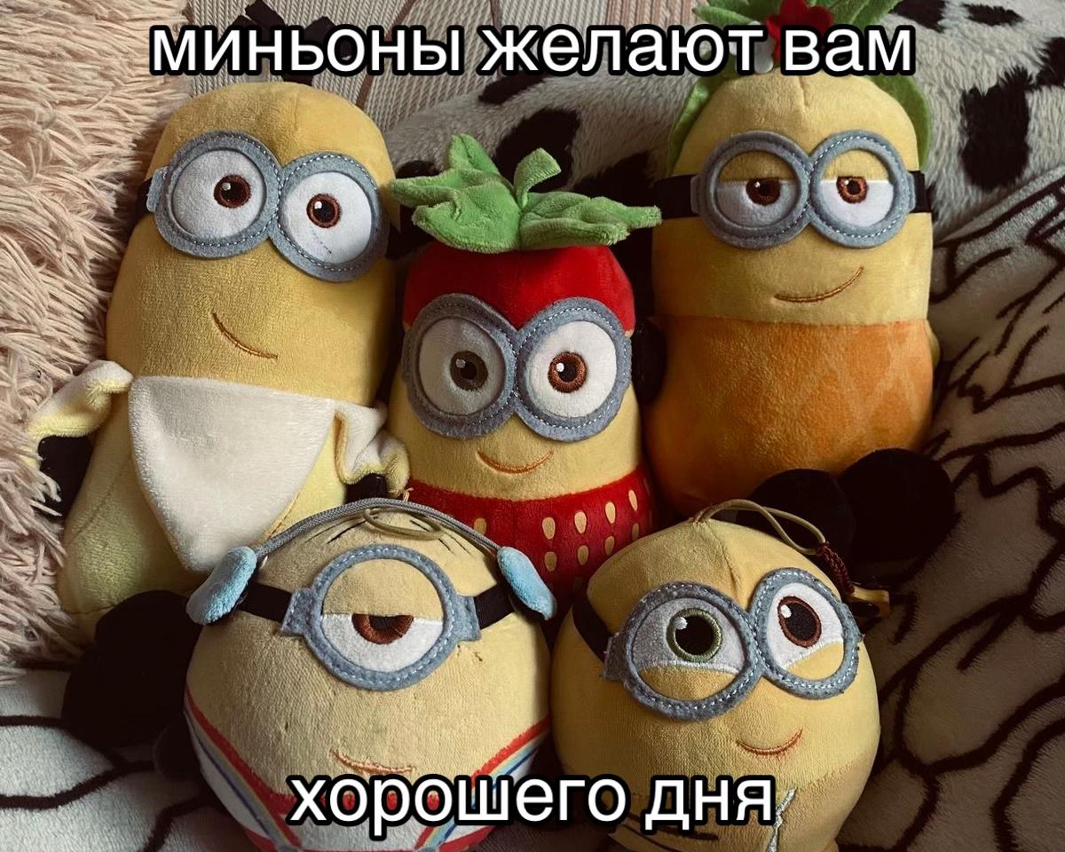 @челобэка𓍢ִ໋ ༘