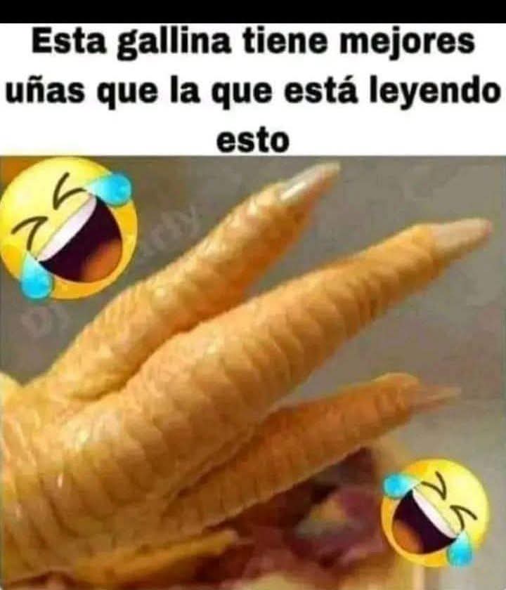 @el panda solitario