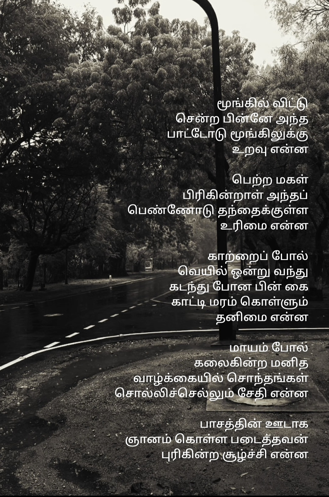 @🕊️  ❤️𝒩𝒾𝓇𝓂𝒶𝓁𝒶 ❤️ 🕊️