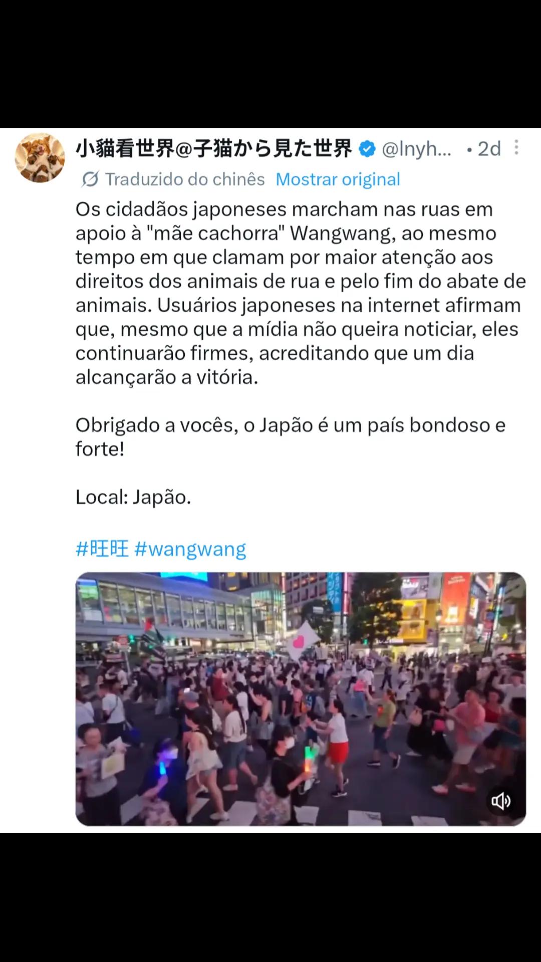 @Resist&ecirc;ncia Felina 🇧🇷