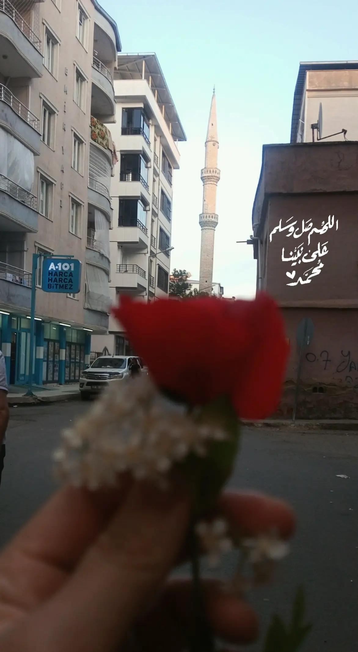 @🇹🇷🕊بنت الموصل 👑🇮🇶