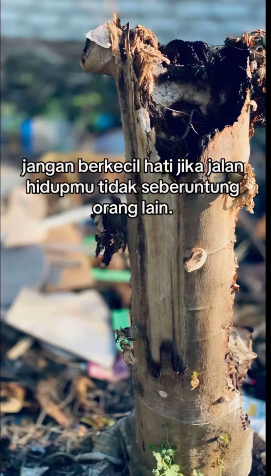 @Setiawan
