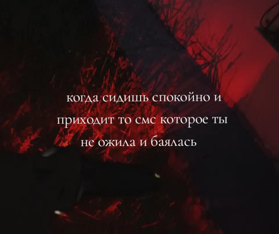 @хомяк