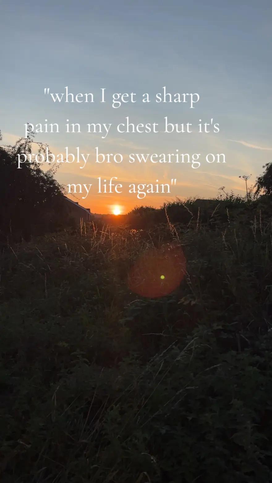 @🤍